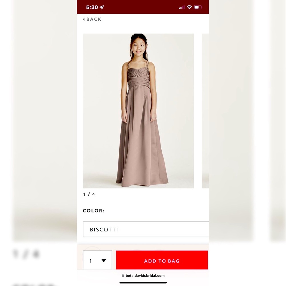 Biscotti Junior Bridesmaid’s Gown size 14